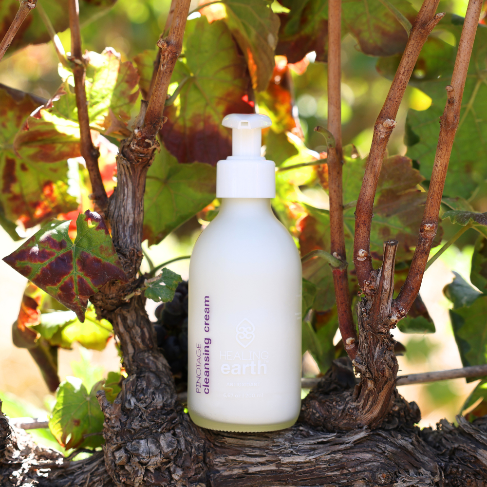 Pinotage Antioxidant Cleansing Cream