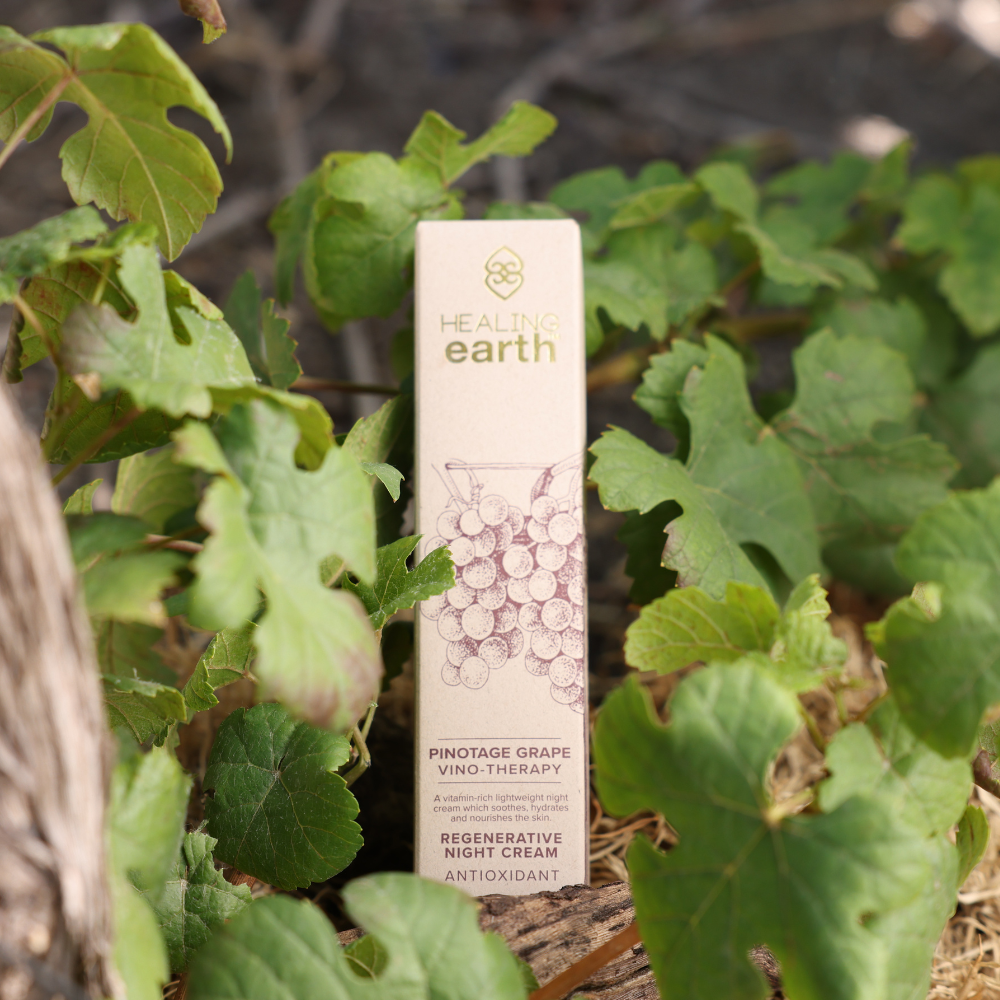 Pinotage Regenerative Night Cream