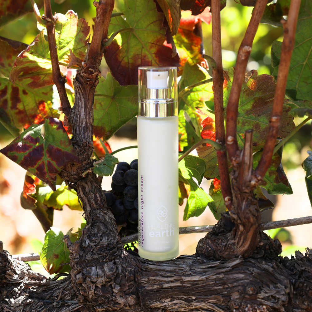 Pinotage Regenerative Night Cream